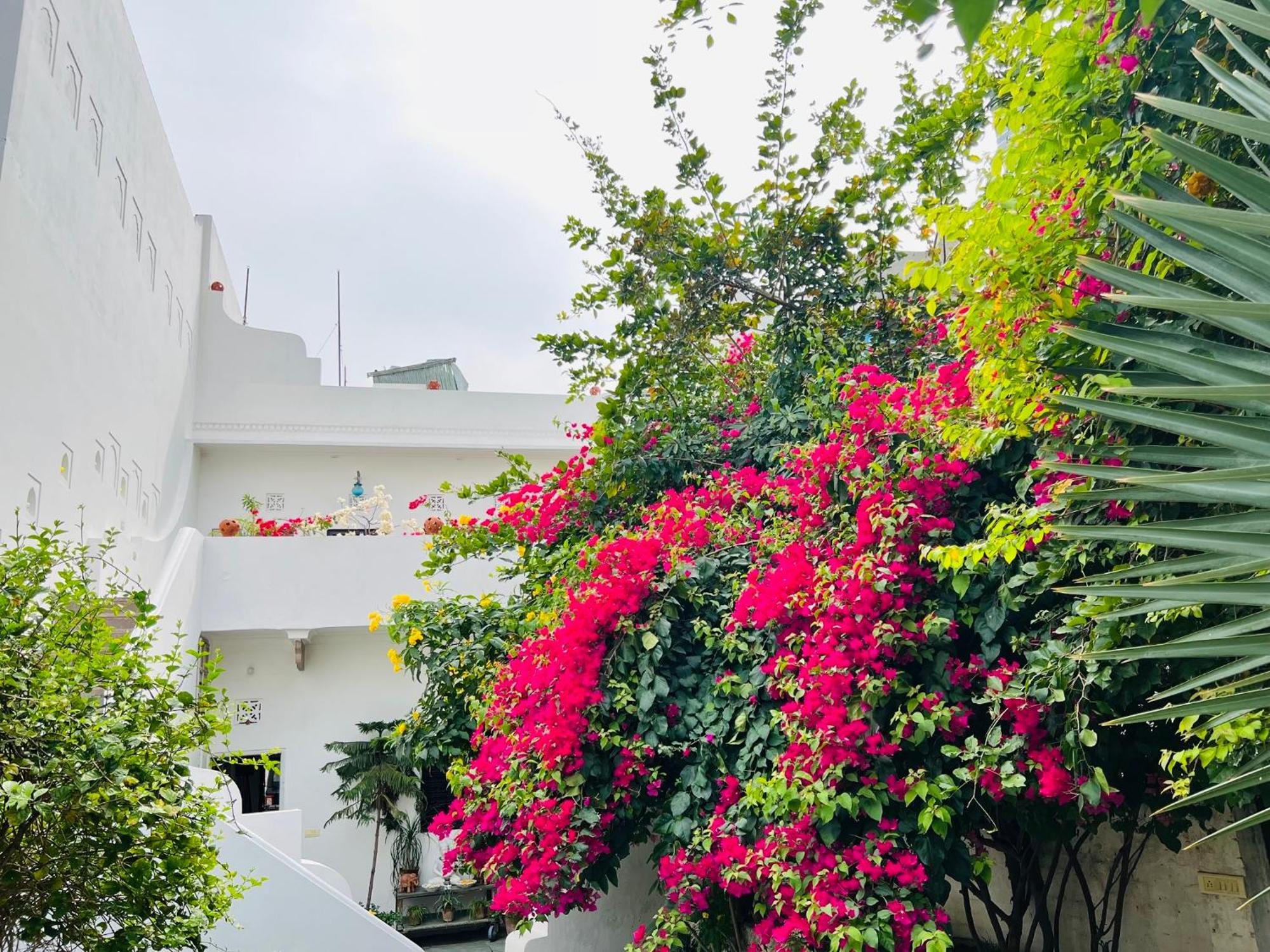 Mosaics Guest House Jaipur Buitenkant foto