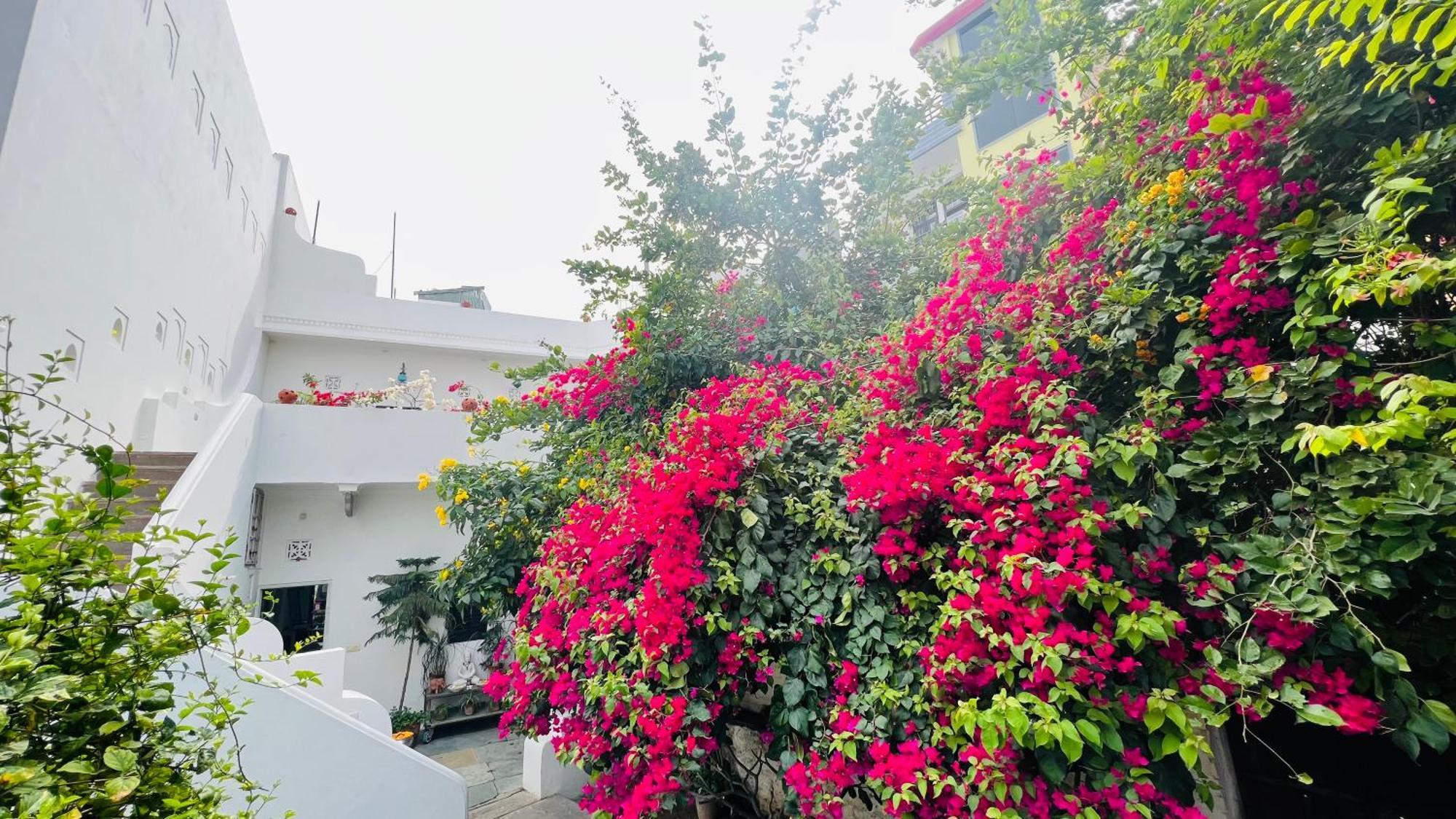 Mosaics Guest House Jaipur Buitenkant foto
