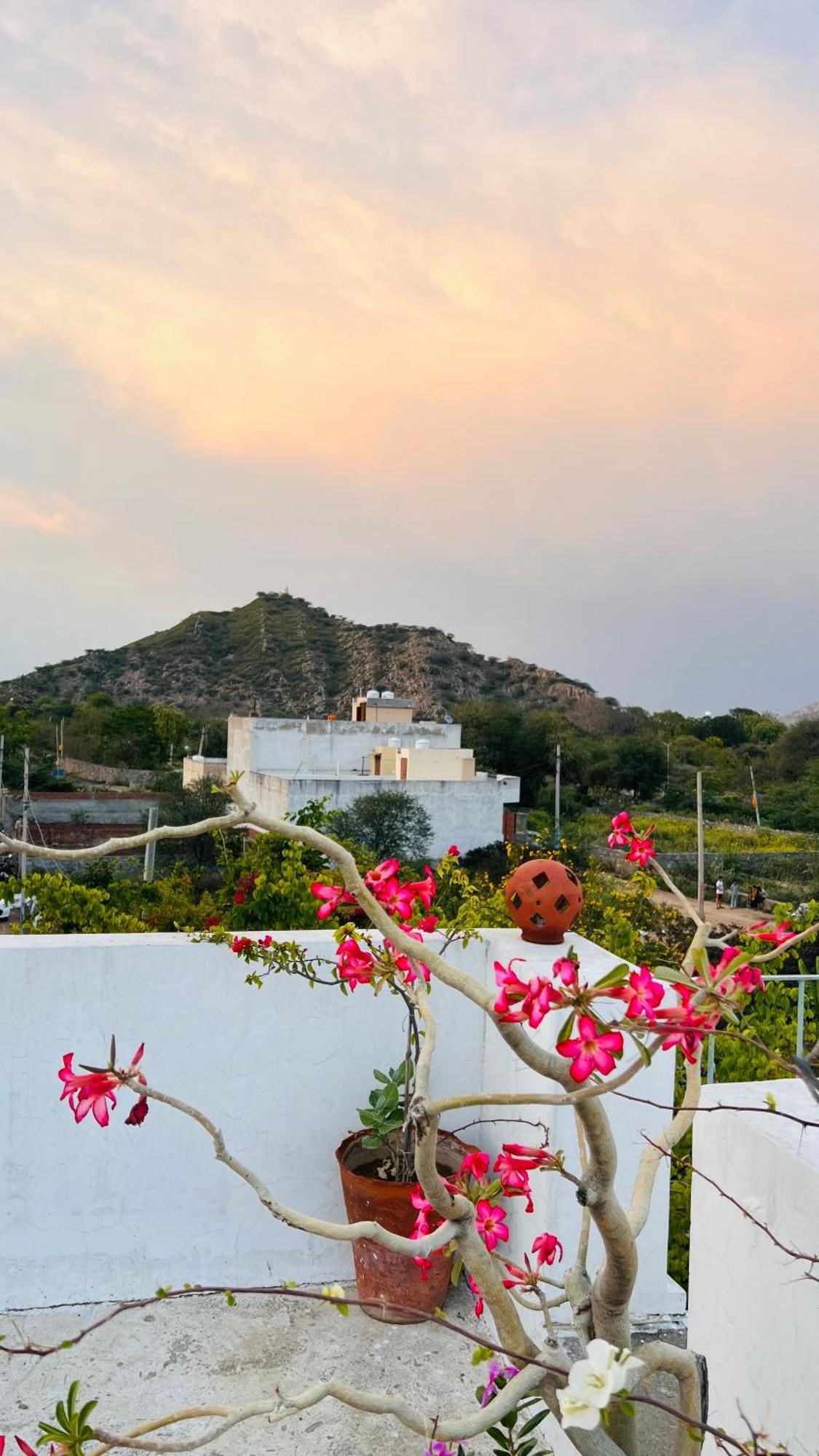 Mosaics Guest House Jaipur Buitenkant foto