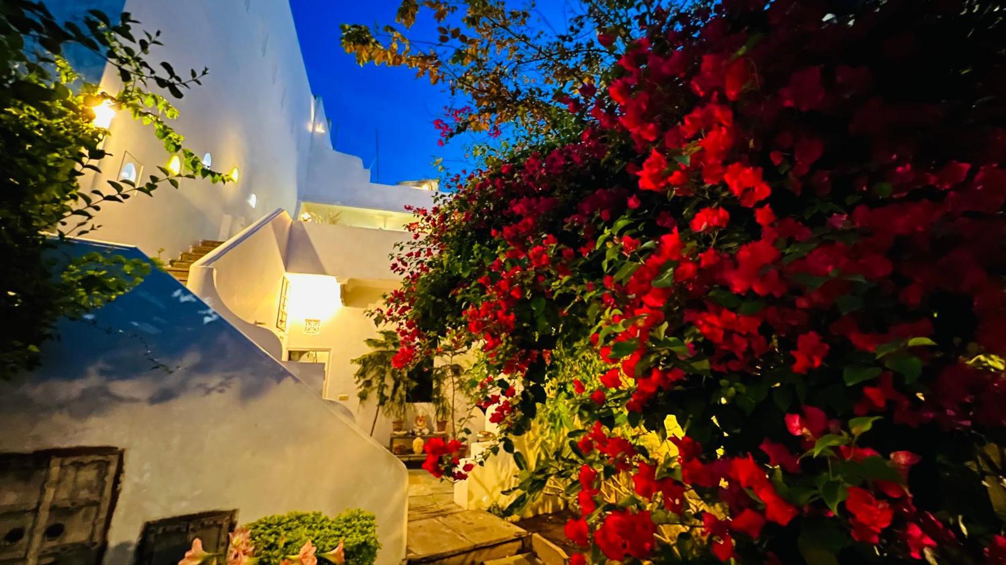 Mosaics Guest House Jaipur Buitenkant foto